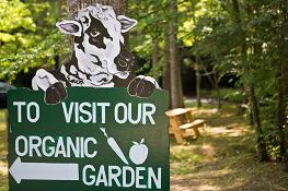 Enota's organic garden has more than 50 varieties of vegetables